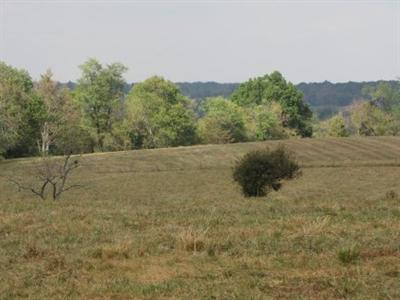 3 Montague Road Versailles, KY 40383 - Photo 7 of 7 Photo 7