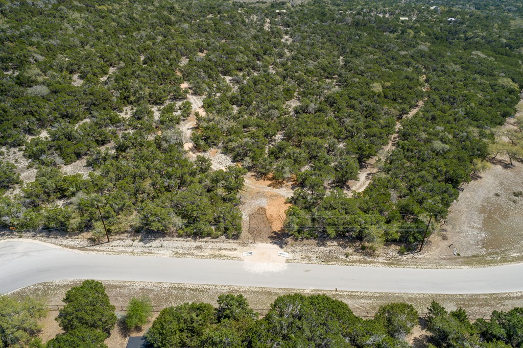 Tbd Tbd Other Bulverde, TX 78163 - Photo 20 of 42 a view of a yard with a yard
