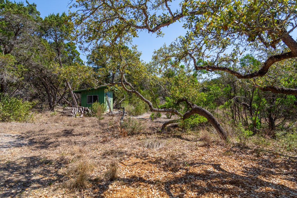 Tbd Tbd Other Bulverde, TX 78163 - Photo 40 of 42 a backyard of a house with lots of plants and large tree