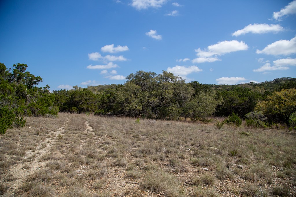 Tbd Tbd Other Bulverde, TX 78163 - Photo 42 of 42 a backyard of a house with lots of green space
