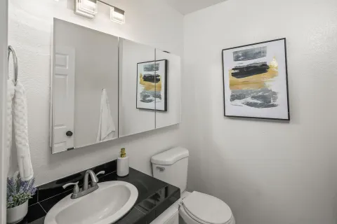 a bathroom with a toilet a sink and mirror