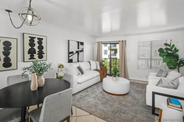 a living room with furniture potted plant and windows