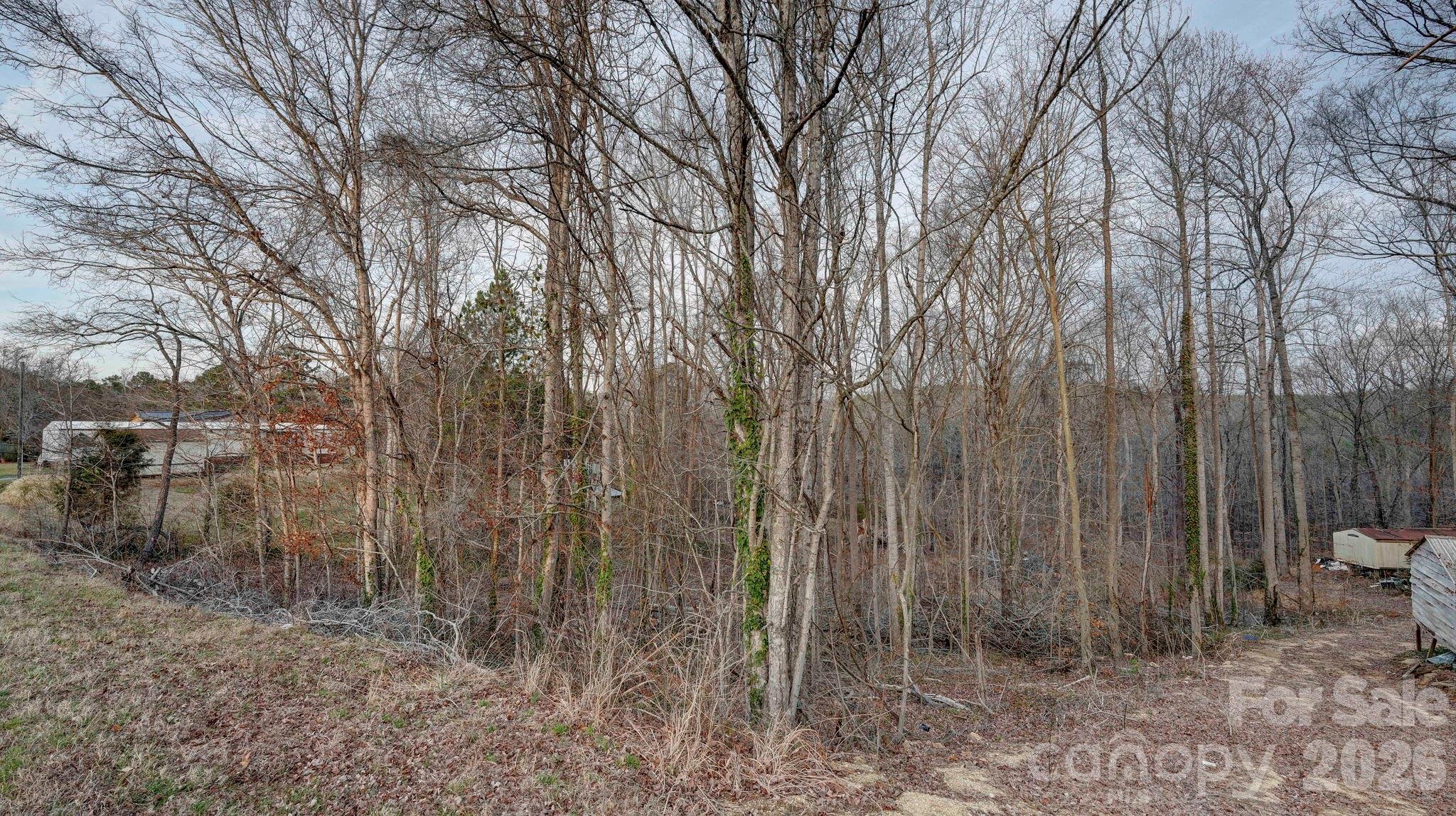 1197 Briggstown Road Lexington, NC 27292 - Photo 5 of 7