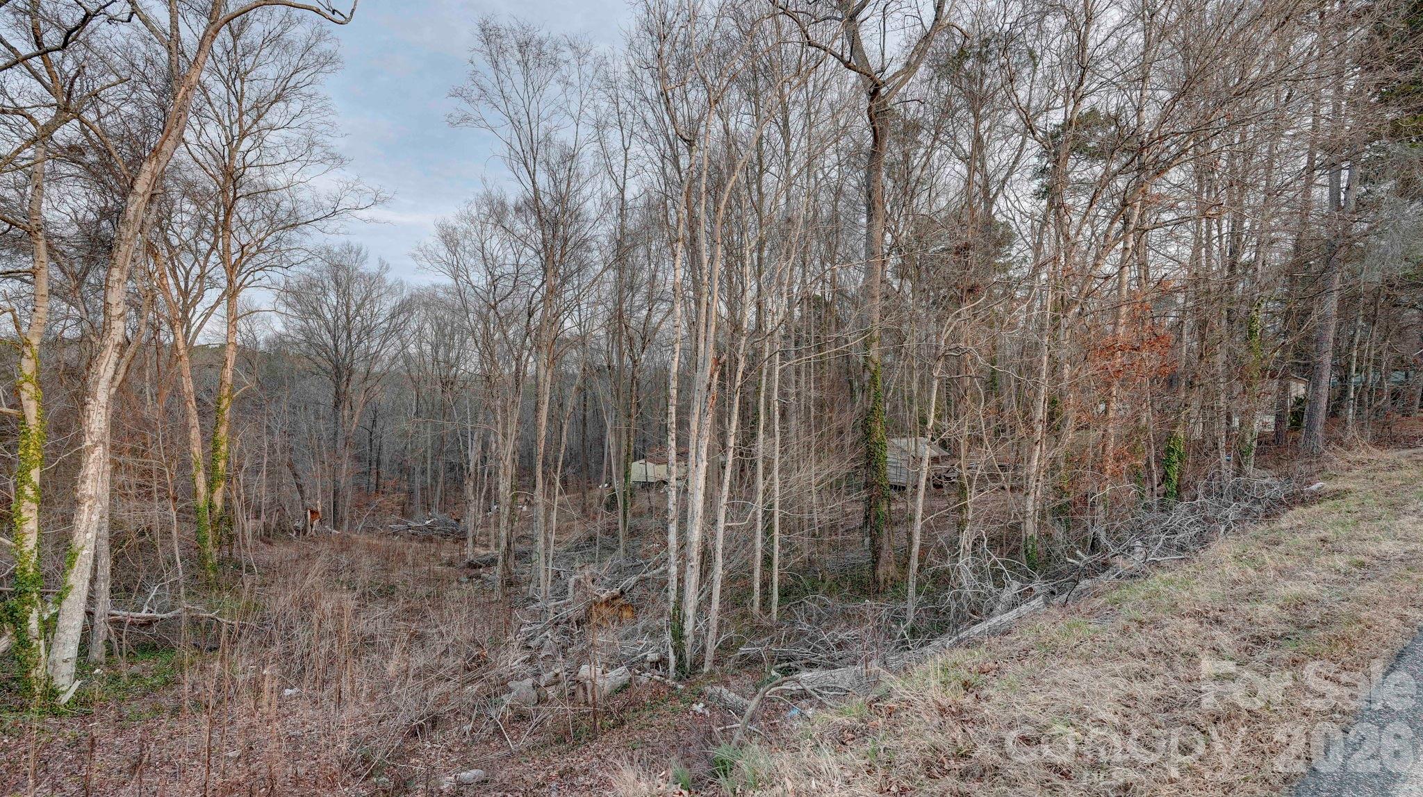 1197 Briggstown Road Lexington, NC 27292 - Photo 6 of 7