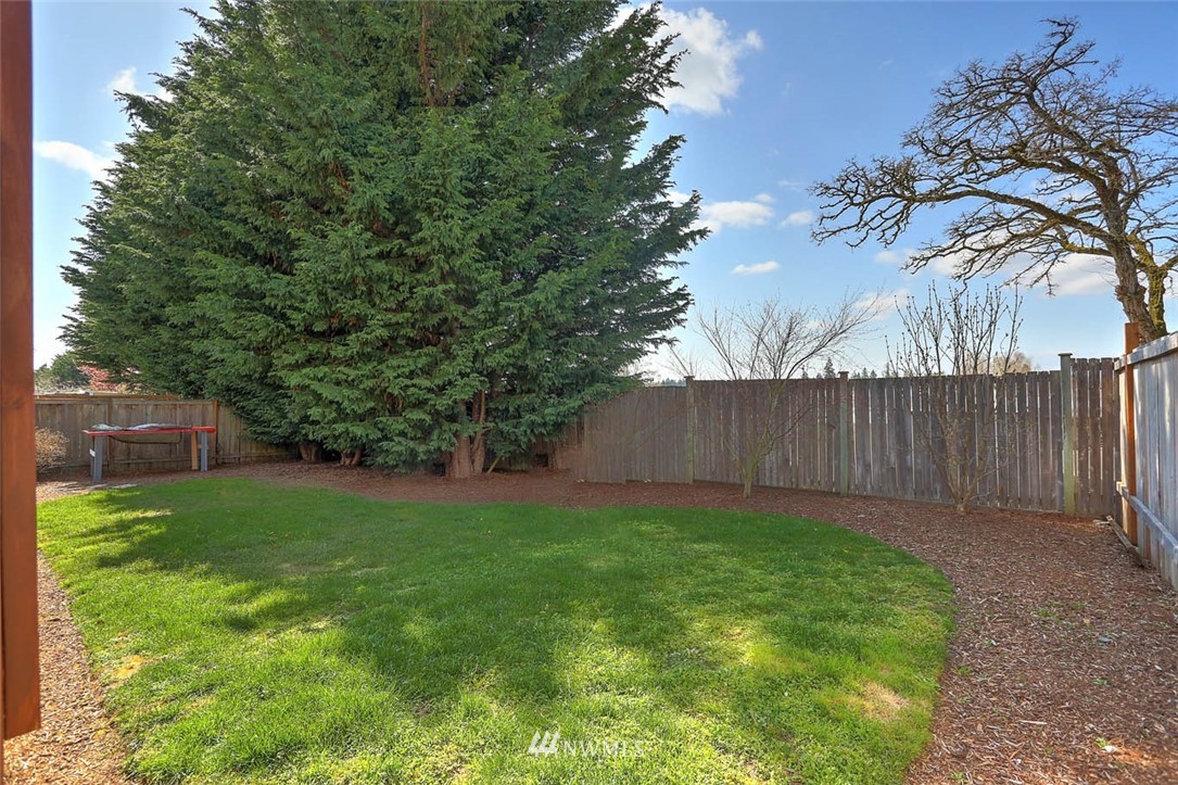 363 Pasco Drive Northeast Renton, WA 98059 - Photo 24 of 26 a view of a backyard with a tree