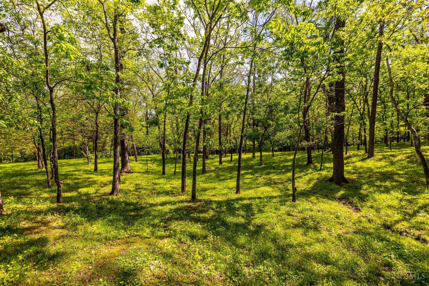 1309 East Foster-Maineville Road Maineville, OH 45039 - Photo 45 of 58