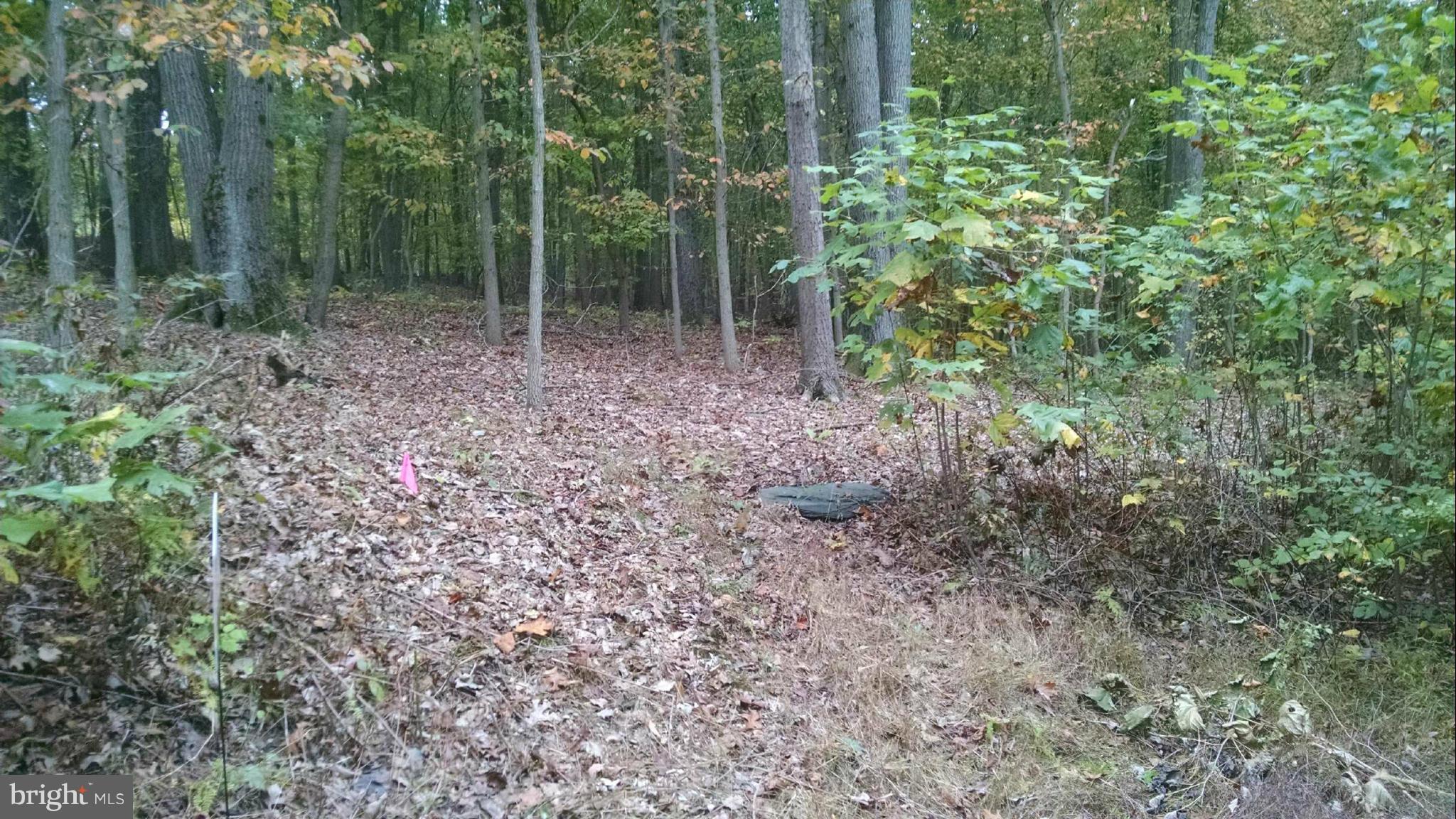 4 Quarry Road Delta, PA 17314 - Photo 3 of 3 Lot