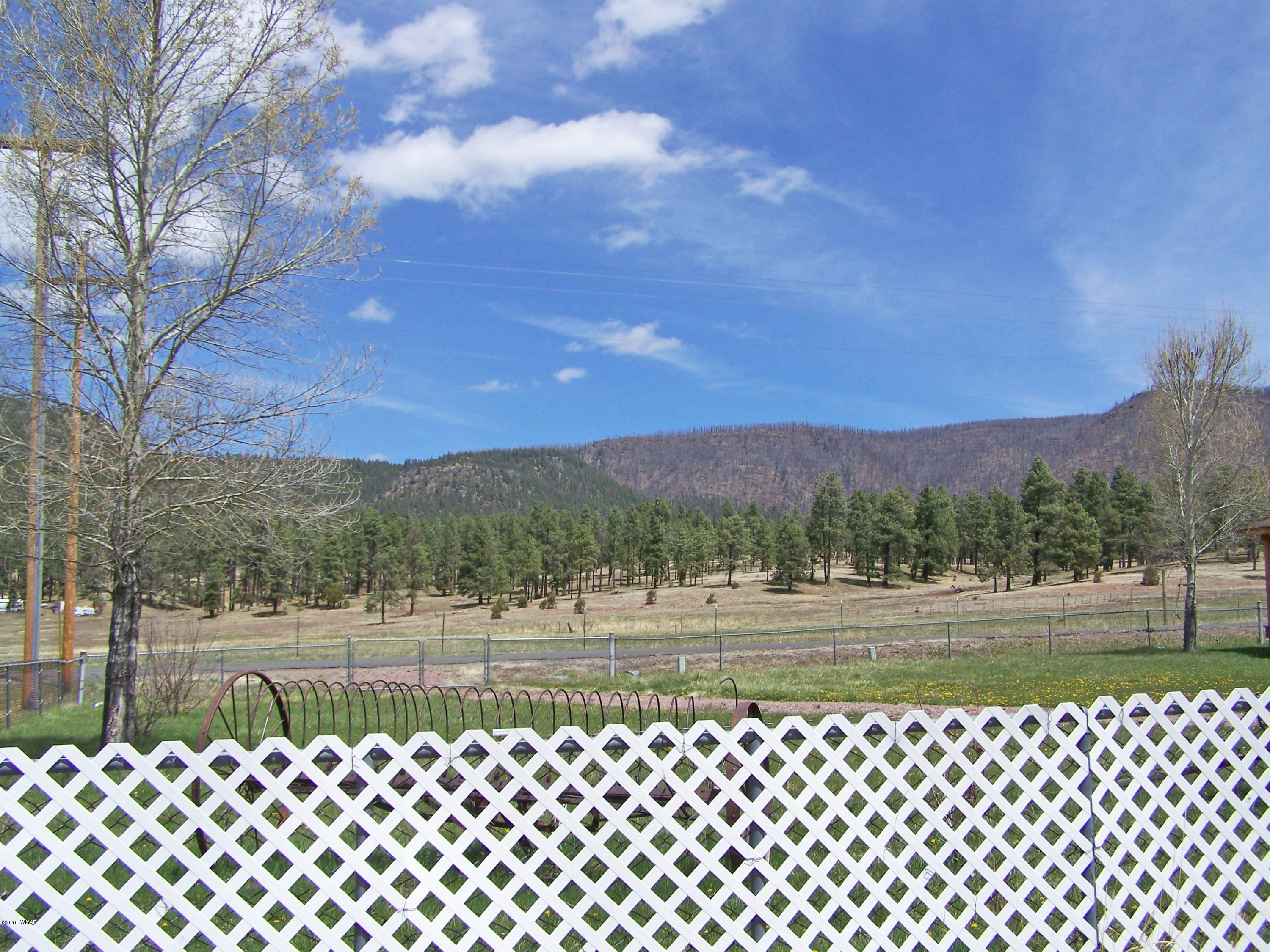 16 County Road Alpine, AZ 85920 - Photo 10 of 38