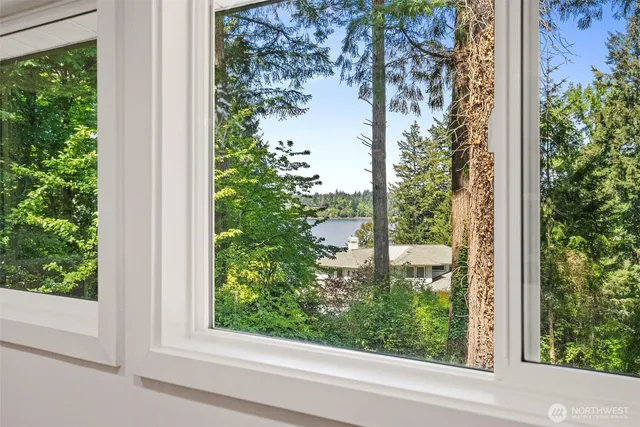 a view of a window and a tree