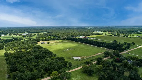 a view of a green field with lots of plants in it