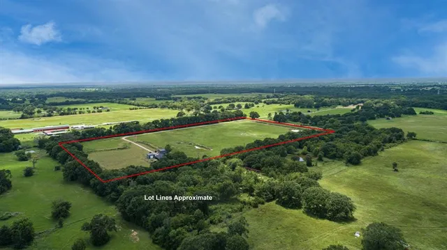 a view of a garden with an outdoor space