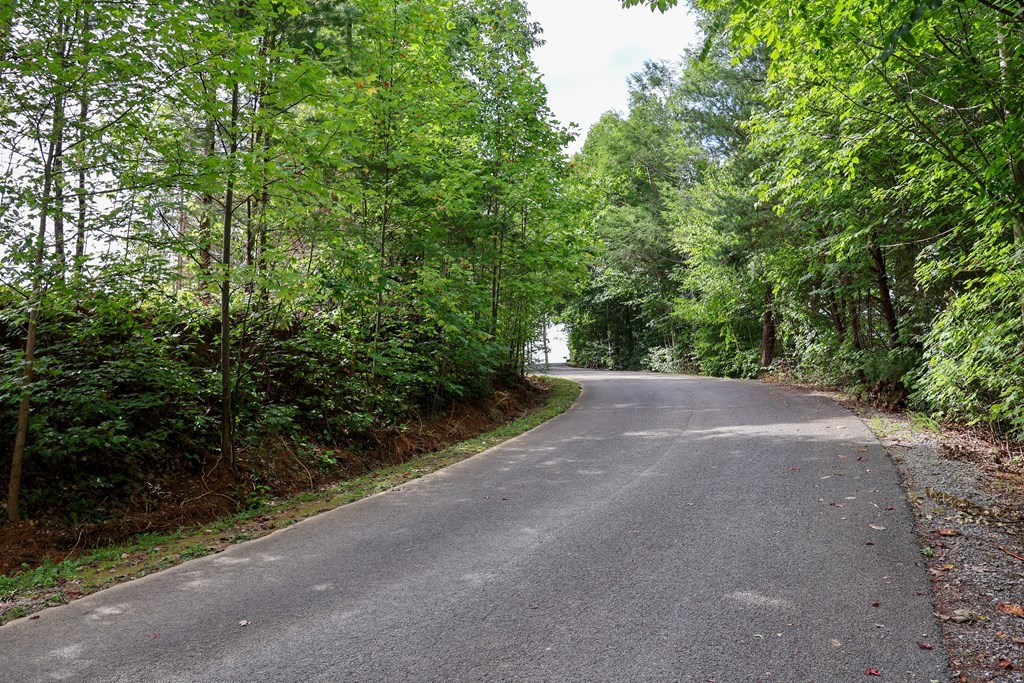 250 Sonshine Ridge Road Cosby, TN 37722 - Photo 15 of 15