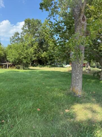 4392 Berry Road Marion, OH 43302 - Photo 7 of 25 front/side yard