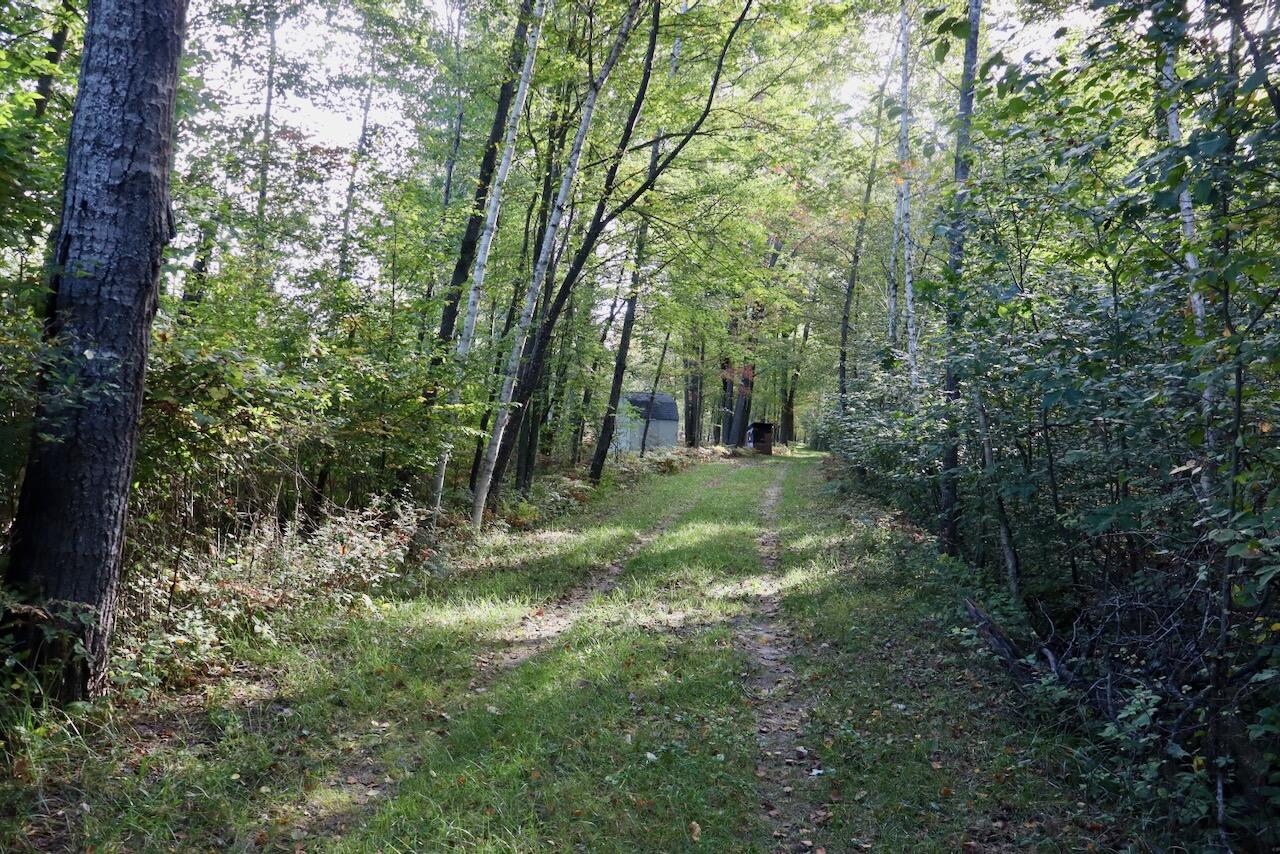 190 North Crawford Road Twining, MI 48766 - Photo 46 of 60 038