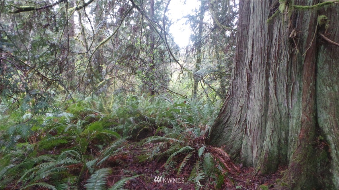400 Newberg Road Snohomish, WA 98290 - Photo 1 of 18