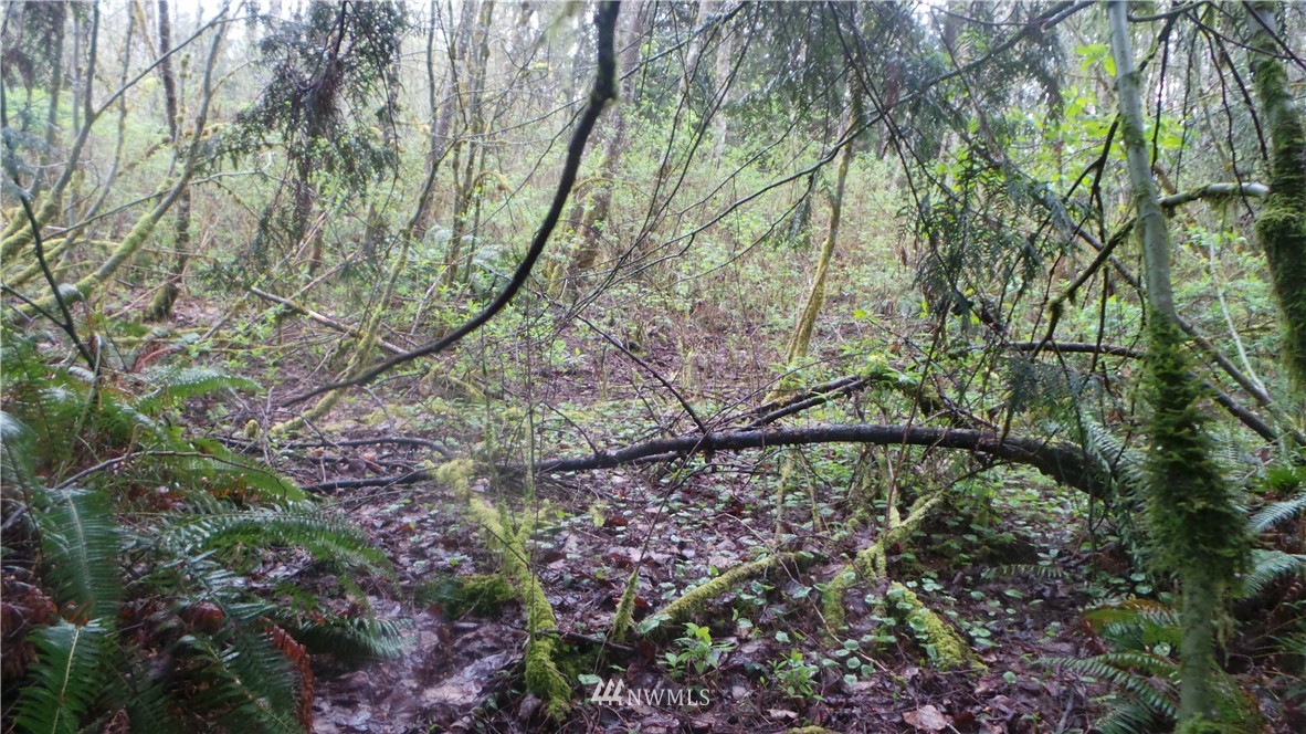 400 Newberg Road Snohomish, WA 98290 - Photo 17 of 18
