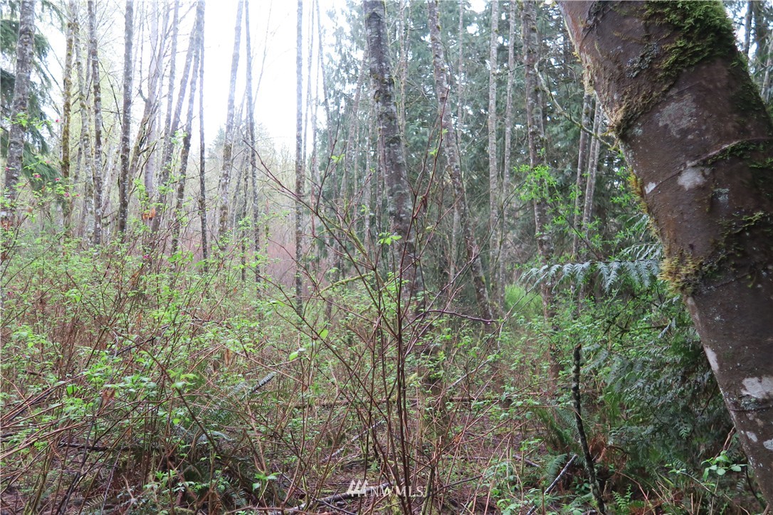 400 Newberg Road Snohomish, WA 98290 - Photo 3 of 18