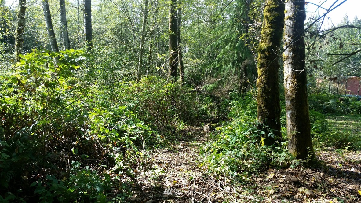 400 Newberg Road Snohomish, WA 98290 - Photo 4 of 18