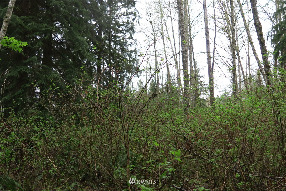 400 Newberg Road Snohomish, WA 98290 - Photo 6 of 18