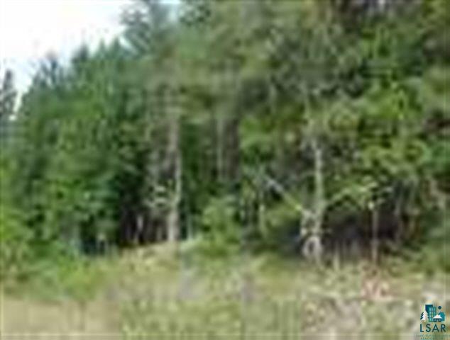 Lot 1 County Road Solon Springs, WI 54873 - Photo 1 of 1 Gallery Image 1