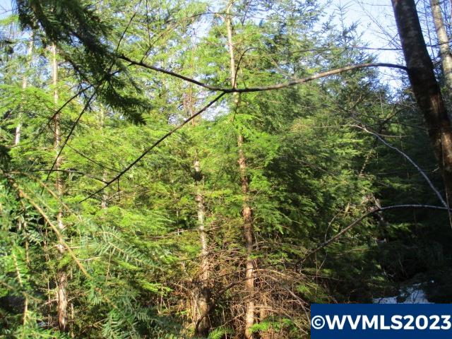 0 Southeast Harvey Road Sandy, OR 97055 - Photo 8 of 11