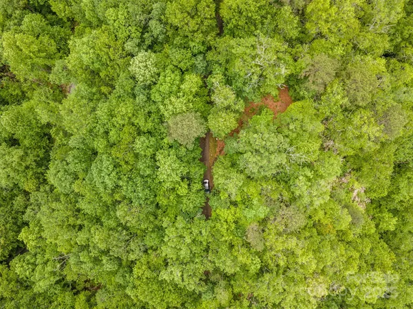 a view of a lush green field