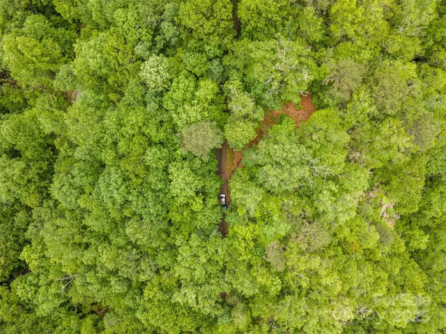 a view of a lush green field