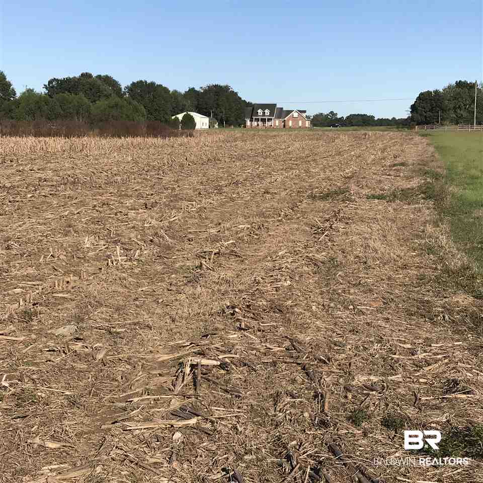 Langforoad Road Fairhope, AL 36532 - Photo 7 of 9