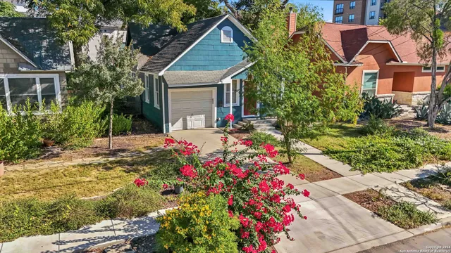 a small garden covered with tall trees