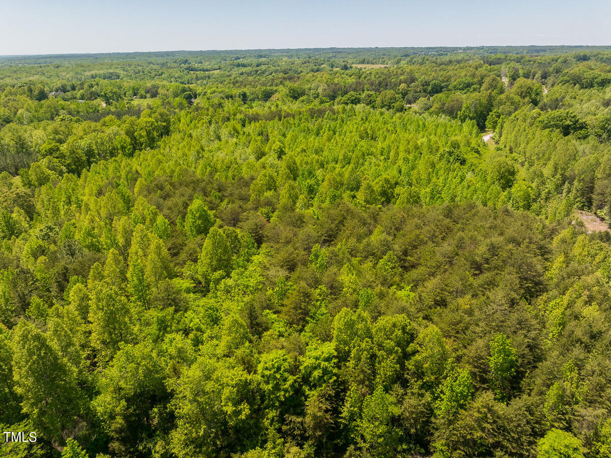 Lot-4-00 Wilson Road Providence, NC 27315 - Photo 26 of 38 Caswell Co. NC -Wilsons Ridge-Lot 4-26