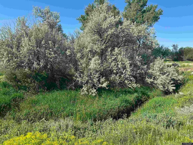 $80,000 | 3 Chittim Road, Lander, WY 82520