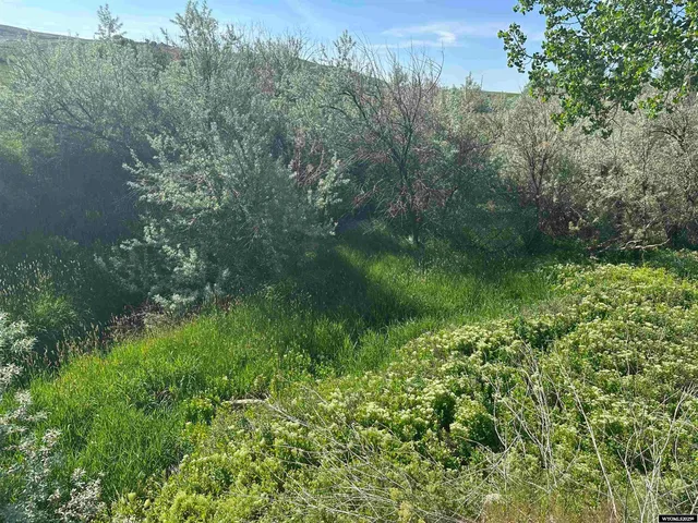 $80,000 | 3 Chittim Road, Lander, WY 82520