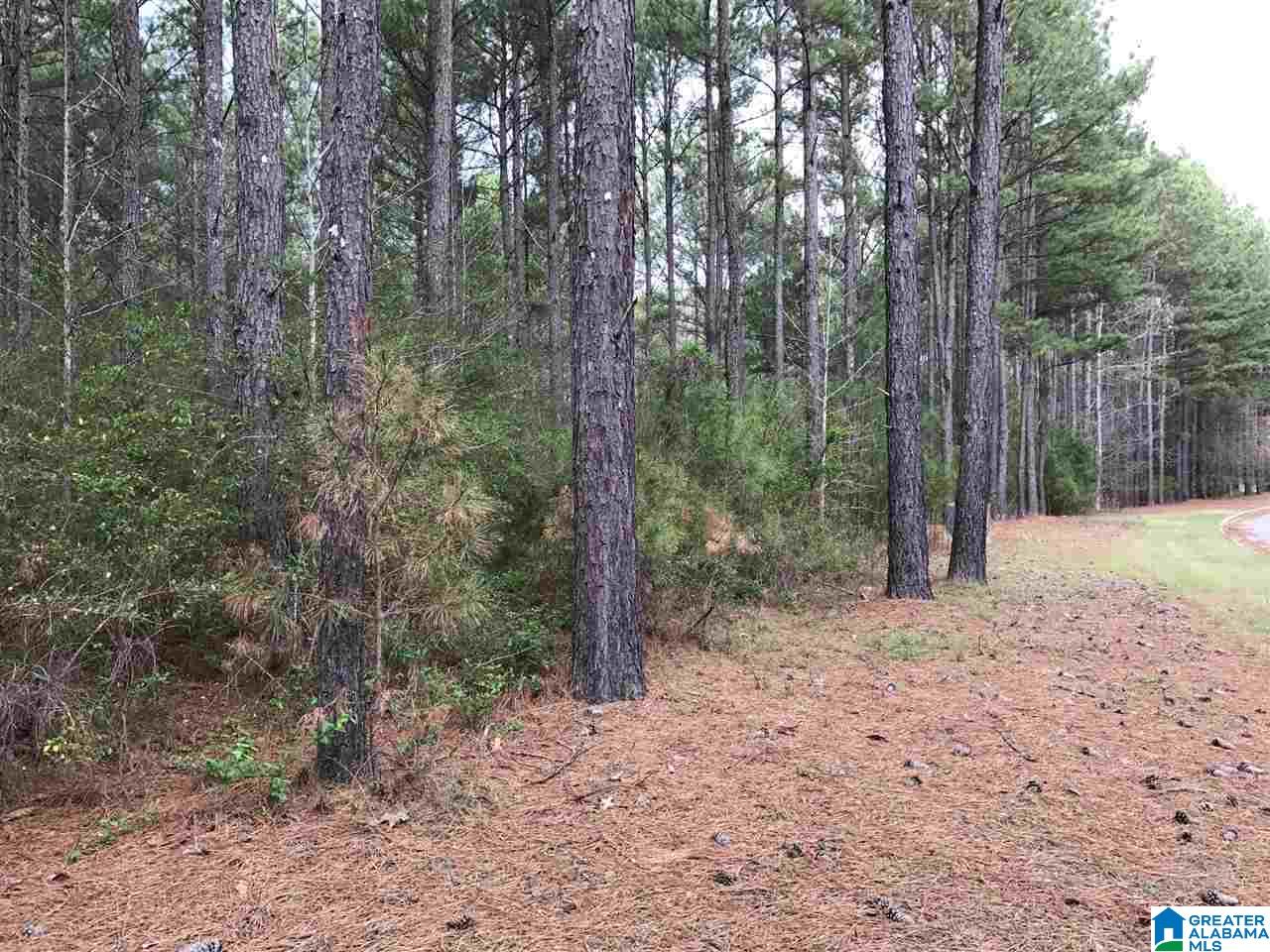 78 Pilgrims Path, Unit 19 Anniston, AL 36207 - Photo 12 of 35