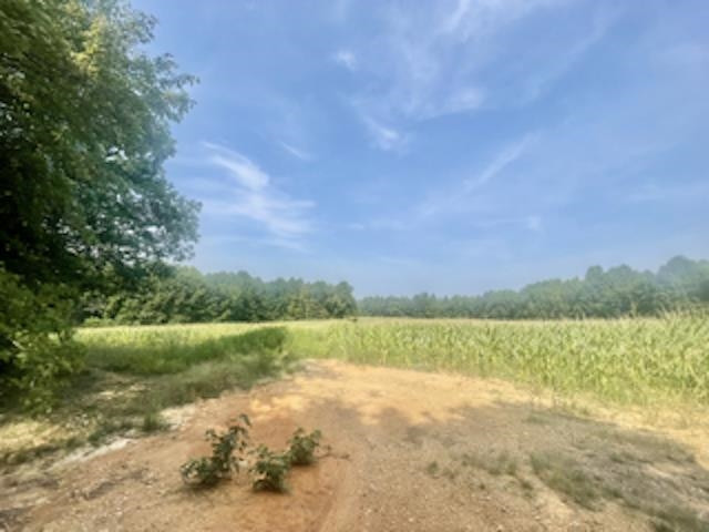 Tbd St Paul Church Road Roxboro, NC 27574 - Photo 3 of 4 Photo 3