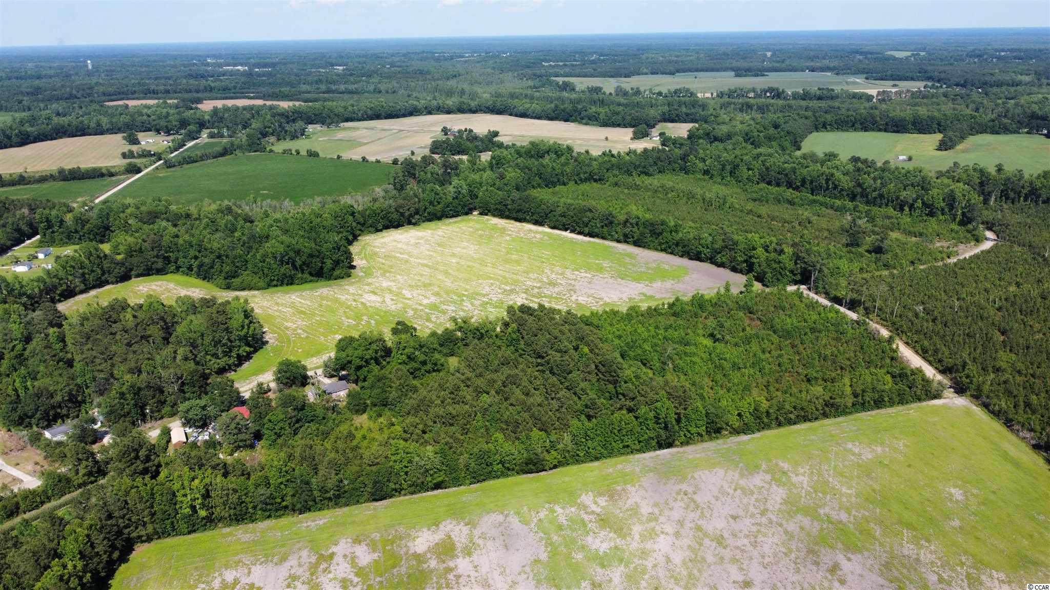 Tbd Dozier Road Marion, SC 29571 - Photo 3 of 10 Gallery Image 3