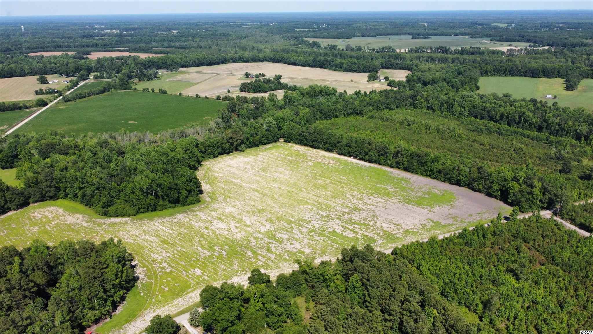 Tbd Dozier Road Marion, SC 29571 - Photo 4 of 10 Gallery Image 4