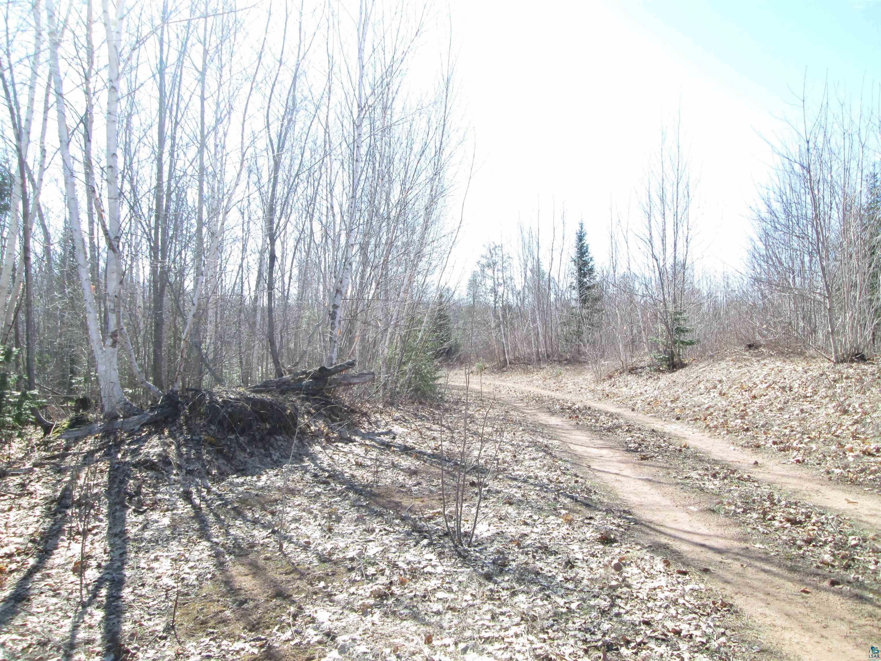 Lot 1-40 Acres County Road South Range, WI 54874 - Photo 23 of 35 Gallery Image 23