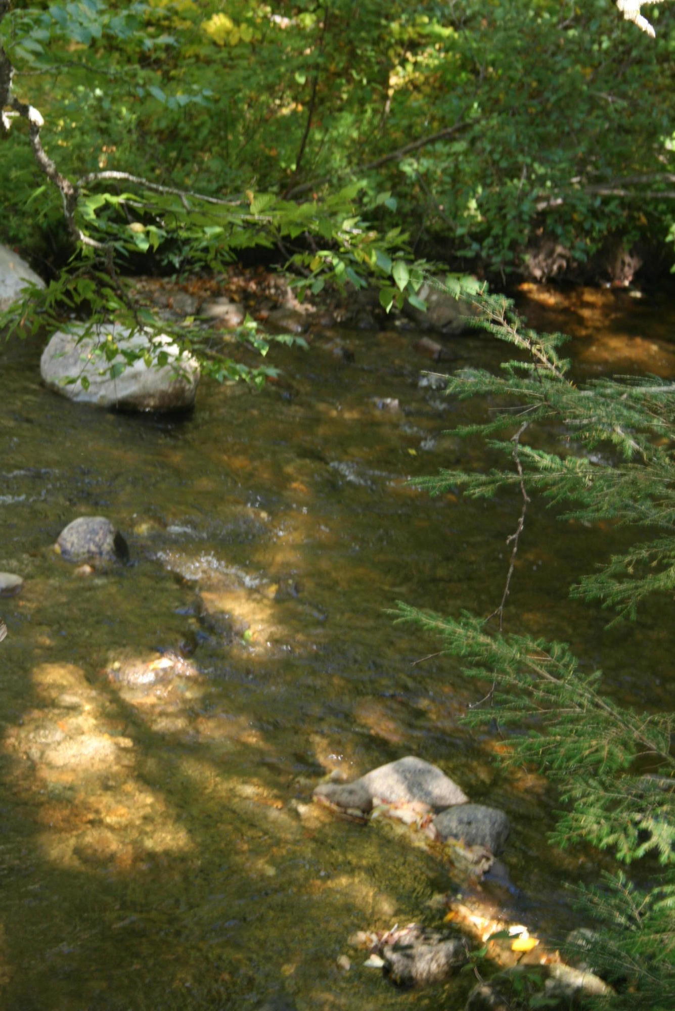 721 Upton Road Andover, ME 04216 - Photo 18 of 18 Running brook