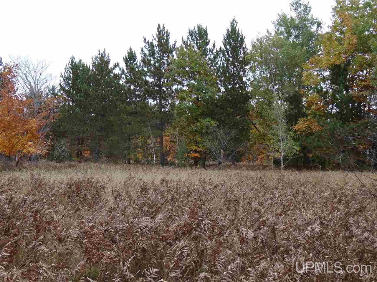 Tbd Traprock Valley Road Calumet, MI 49913 - Photo 12 of 17