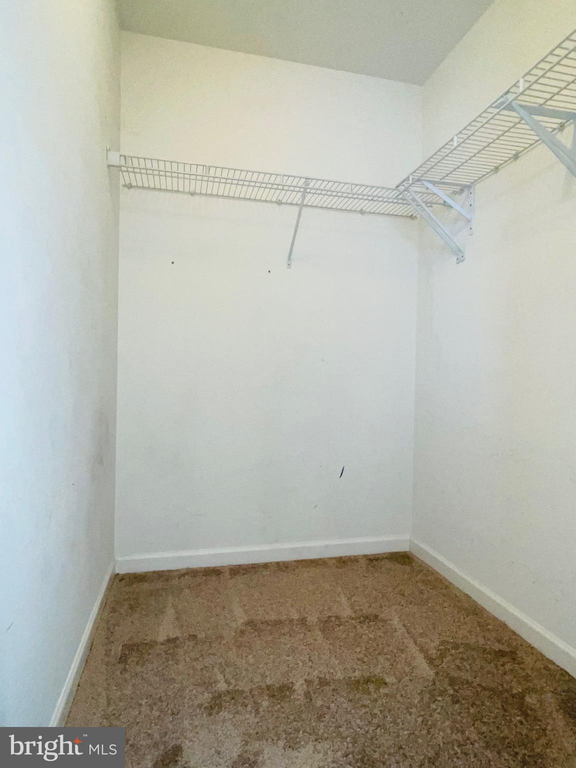 1149 Steed Street Ranson, WV 25438 - Photo 7 of 16 Walk-in closet