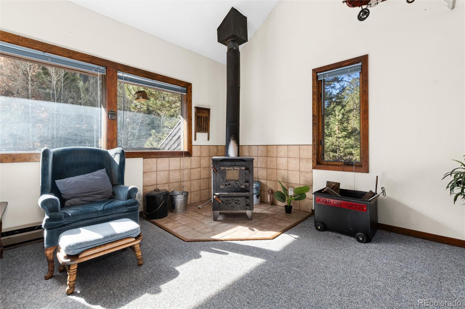 4120 Fall River Road Idaho Springs, CO 80452 - Photo 3 of 20 Gallery Image 3