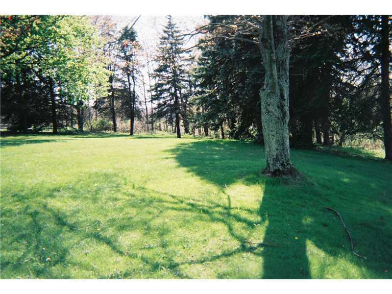 266 East Union Road Cheswick, PA 15024 - Photo 4 of 10 Yard/Garden. Backyard,wooded,level
