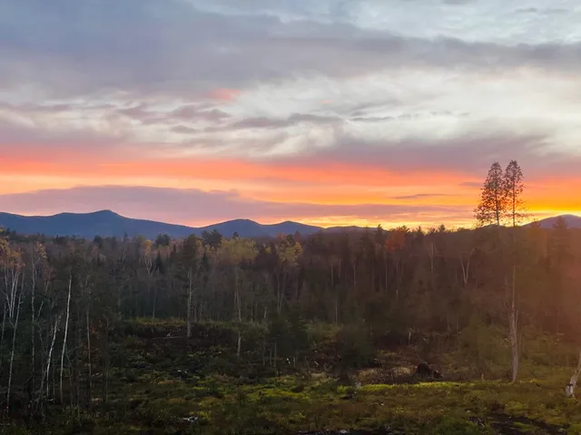 $79,000 | Lot 5 Kelsea Avenue, Lancaster, NH 03584