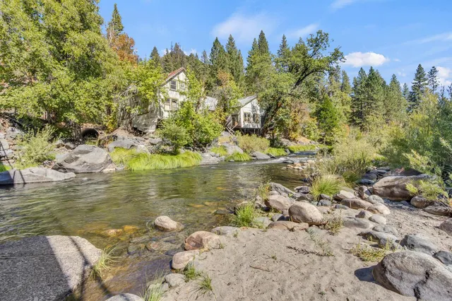 a view of a forest with a mountain