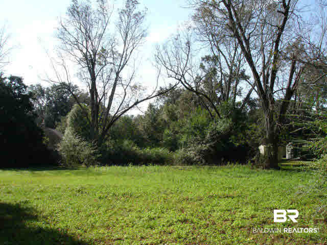 21480 Highway 98 Foley, AL 36535 - Photo 5 of 8 ADD SOUTH WEST VIEW