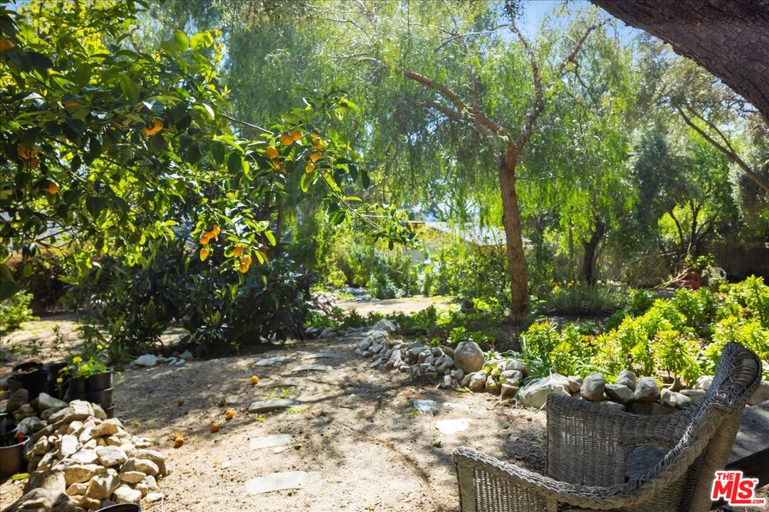 6867 Apperson Street Tujunga, CA 91042 - Photo 33 of 54 a view of a garden with plants and large trees