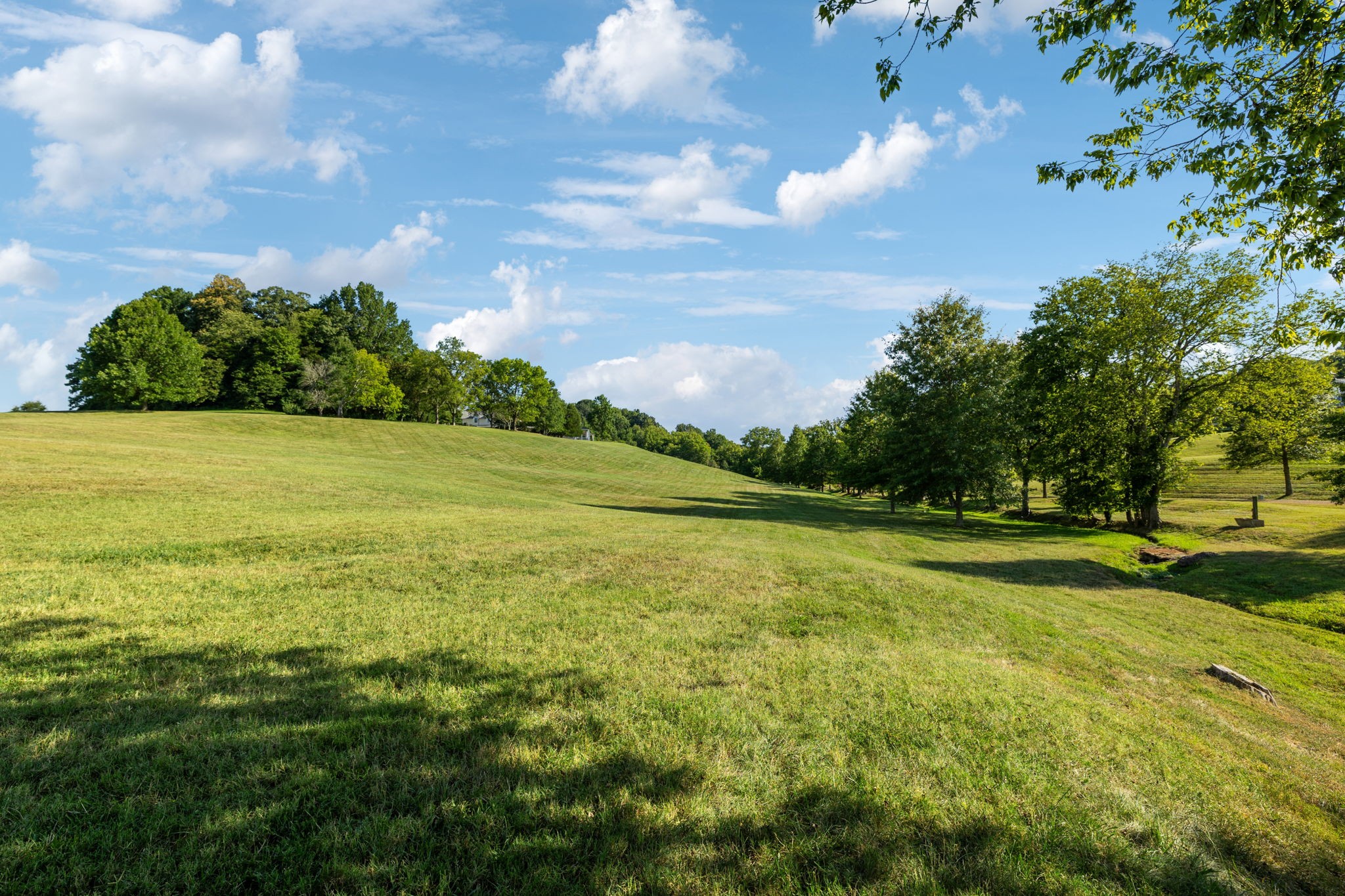 3385 Bailey Road Franklin, TN 37064 - Photo 86 of 96