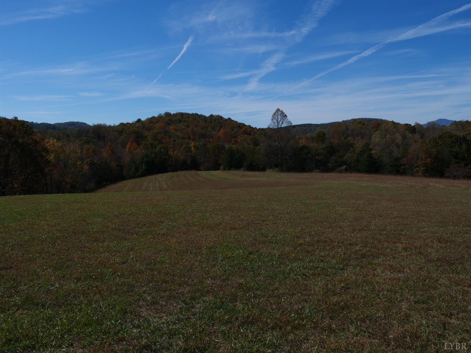 1838 Elk Valley Road Forest, VA 24551 - Photo 36 of 57 Gallery Image 36