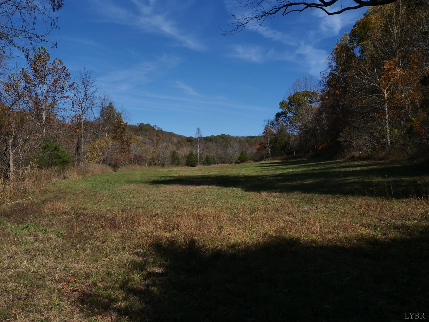 1838 Elk Valley Road Forest, VA 24551 - Photo 39 of 57 Gallery Image 39