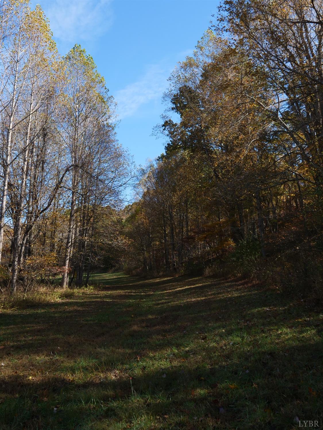 1838 Elk Valley Road Forest, VA 24551 - Photo 41 of 57 Gallery Image 41